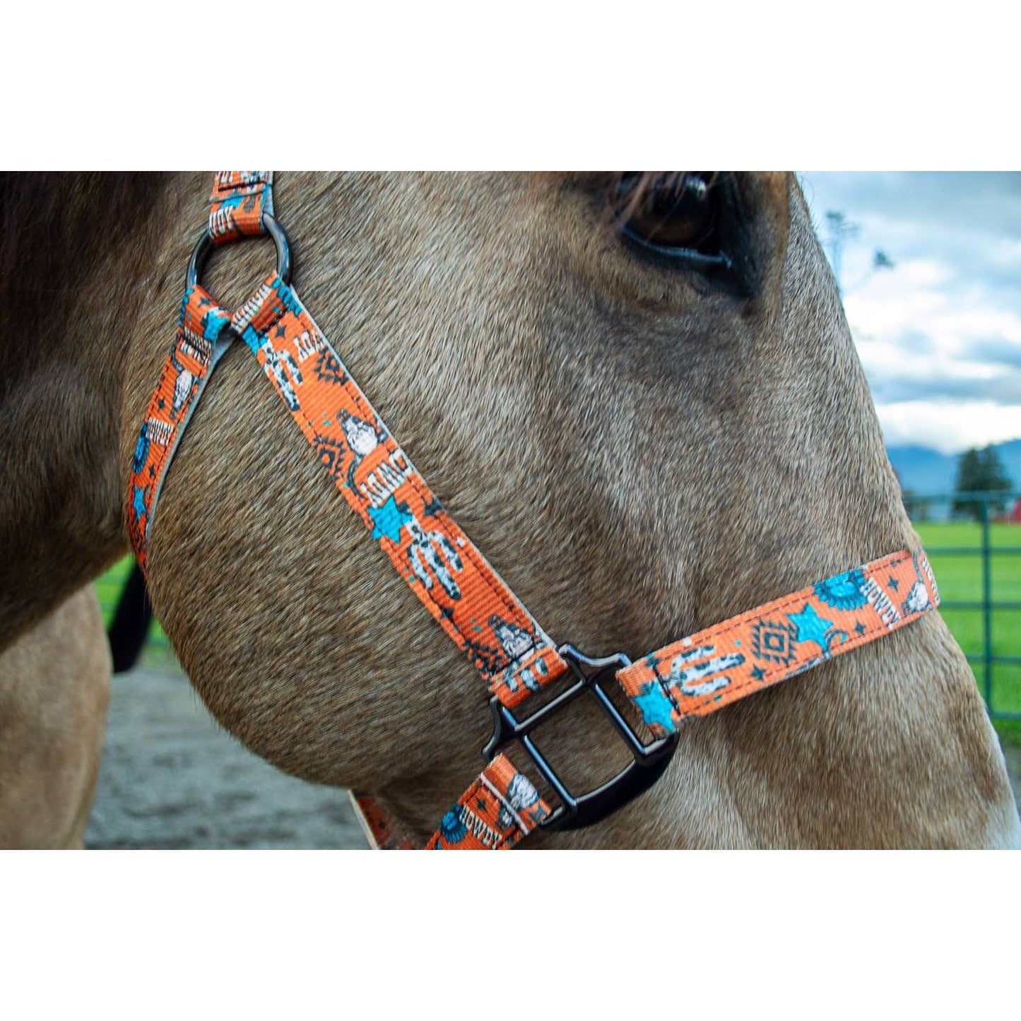 Nylon Halter - Horse Size