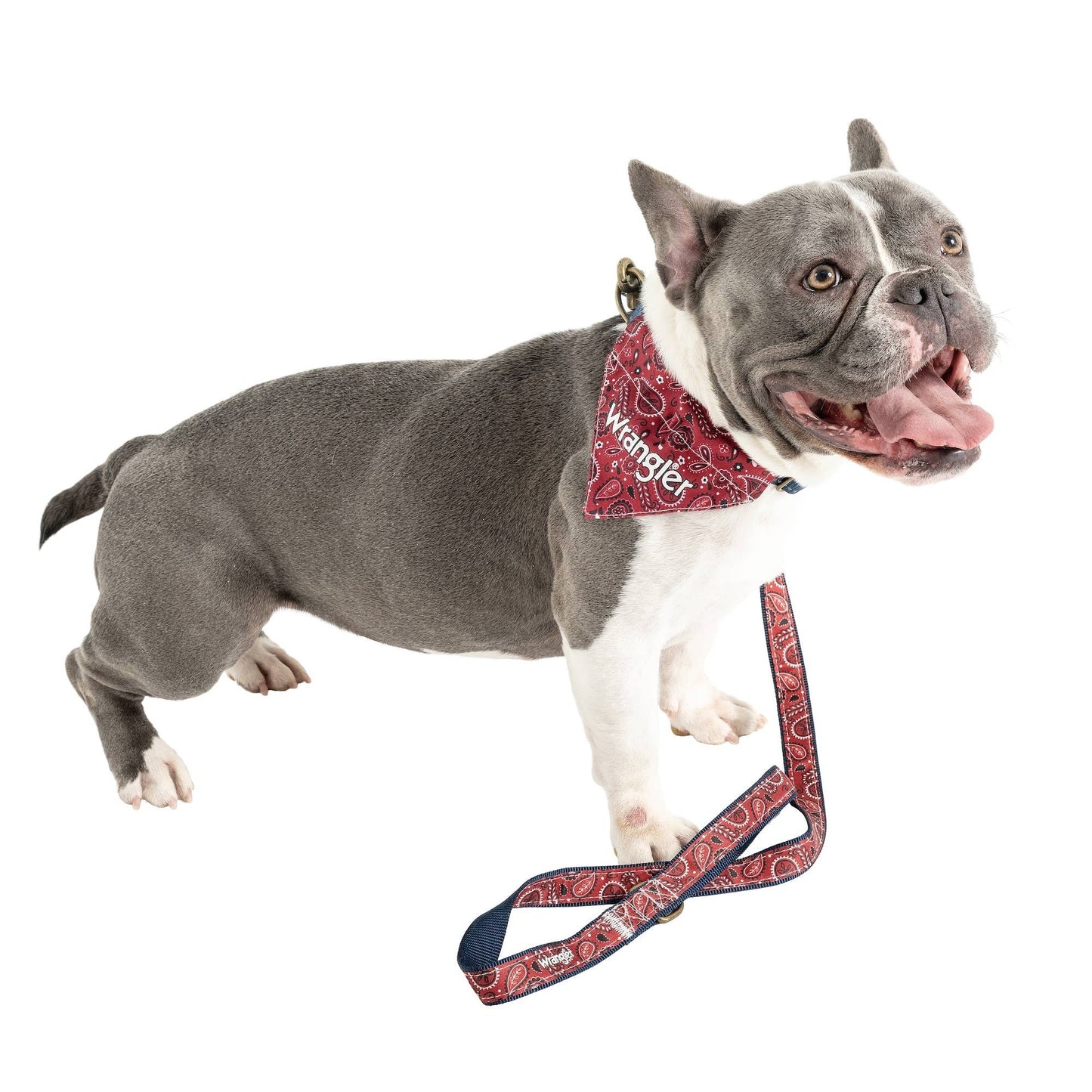 Wrangler Red Bandana Collar