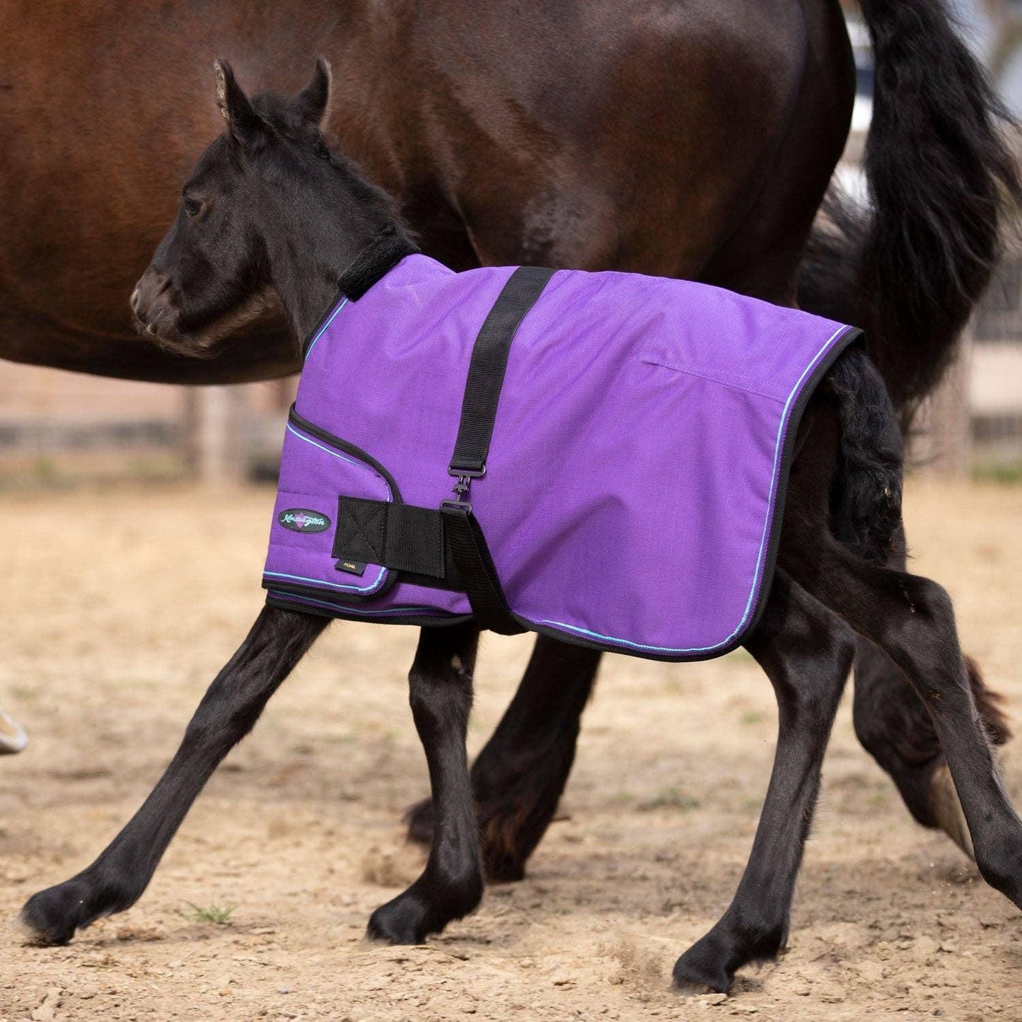 Kensington - 1200Denier Adjustable Foal "180G" Medium Weight Waterproof & Breathable Winter Turnout