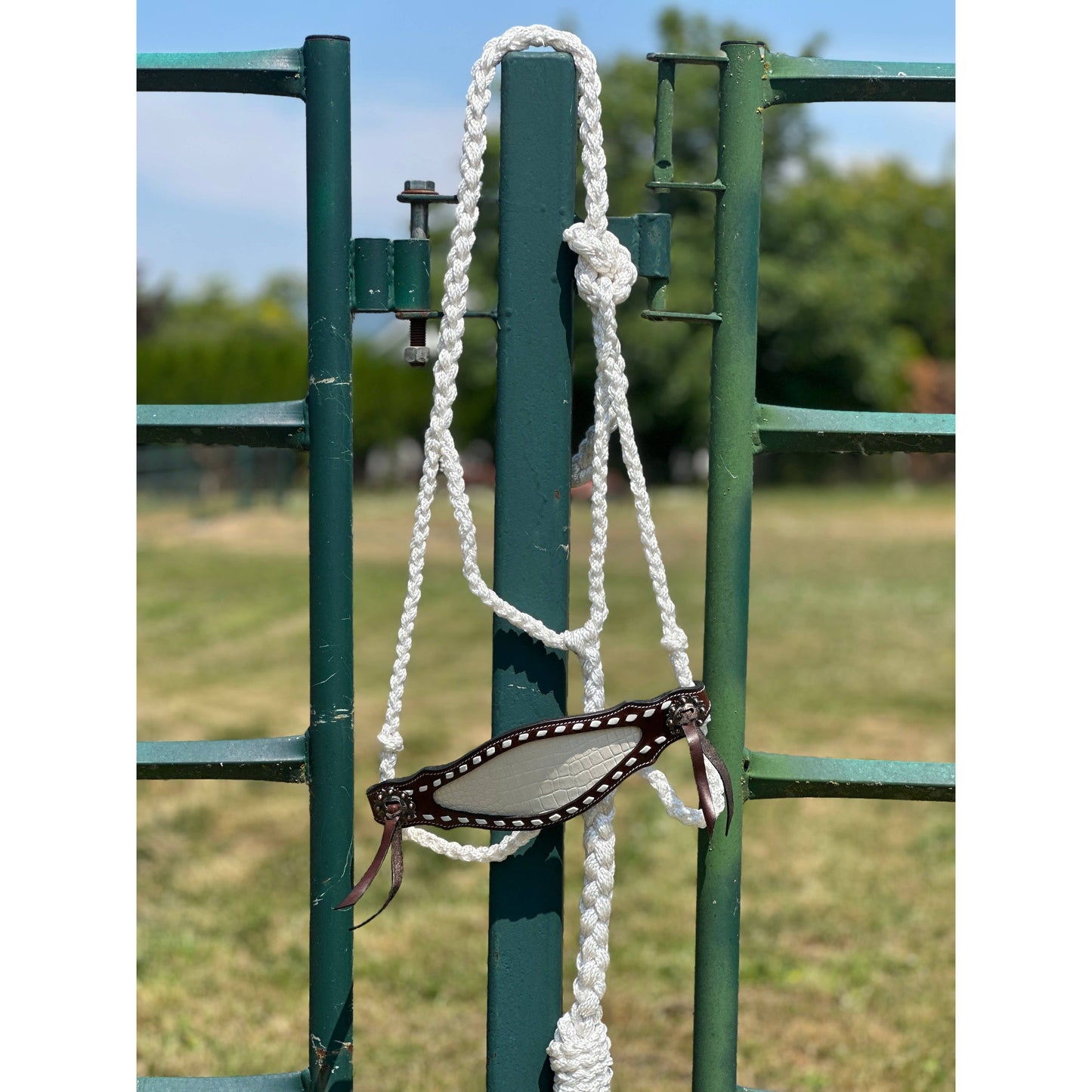 Braided Bronc Halter