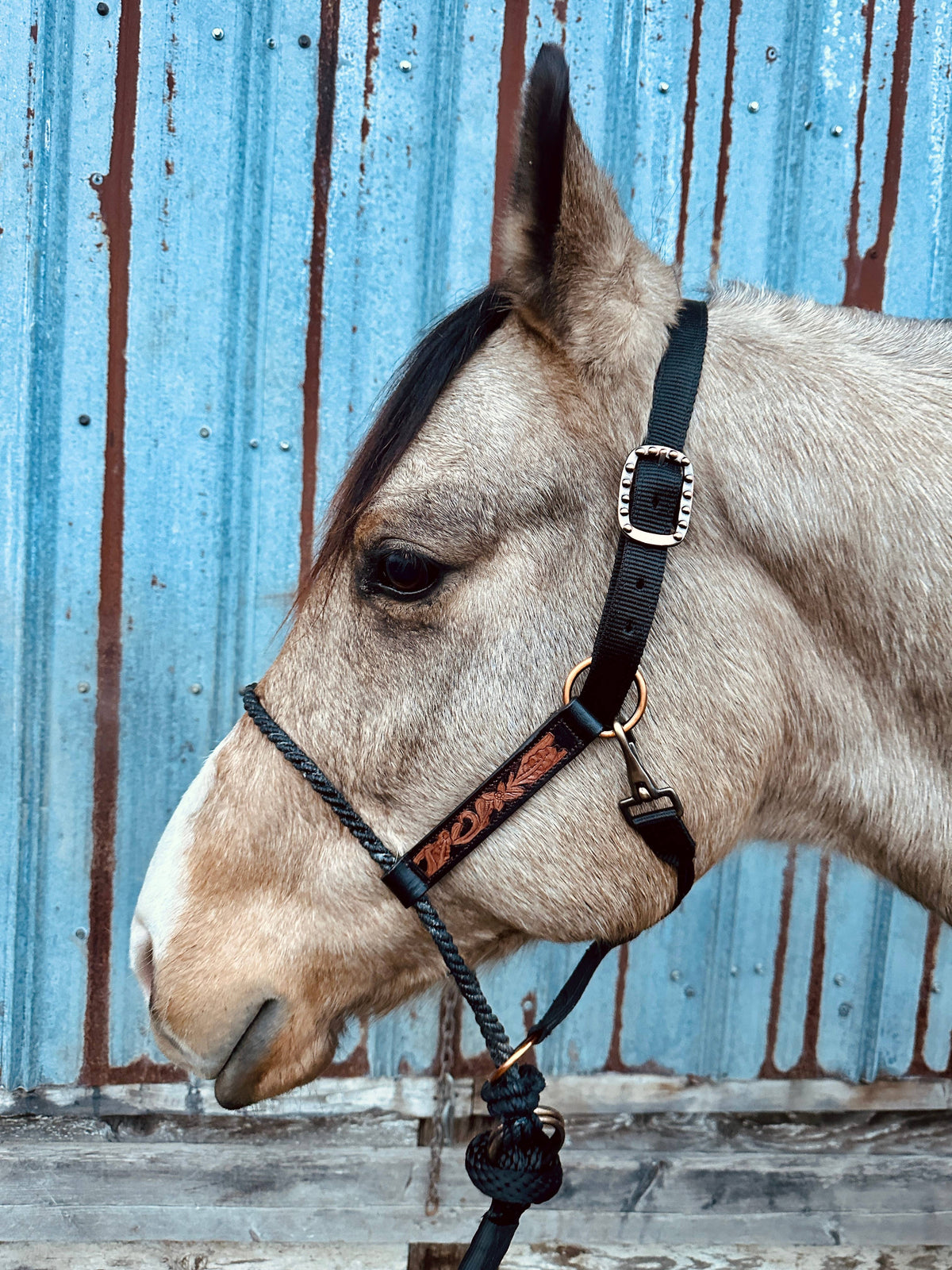 Lariat Nose Halter