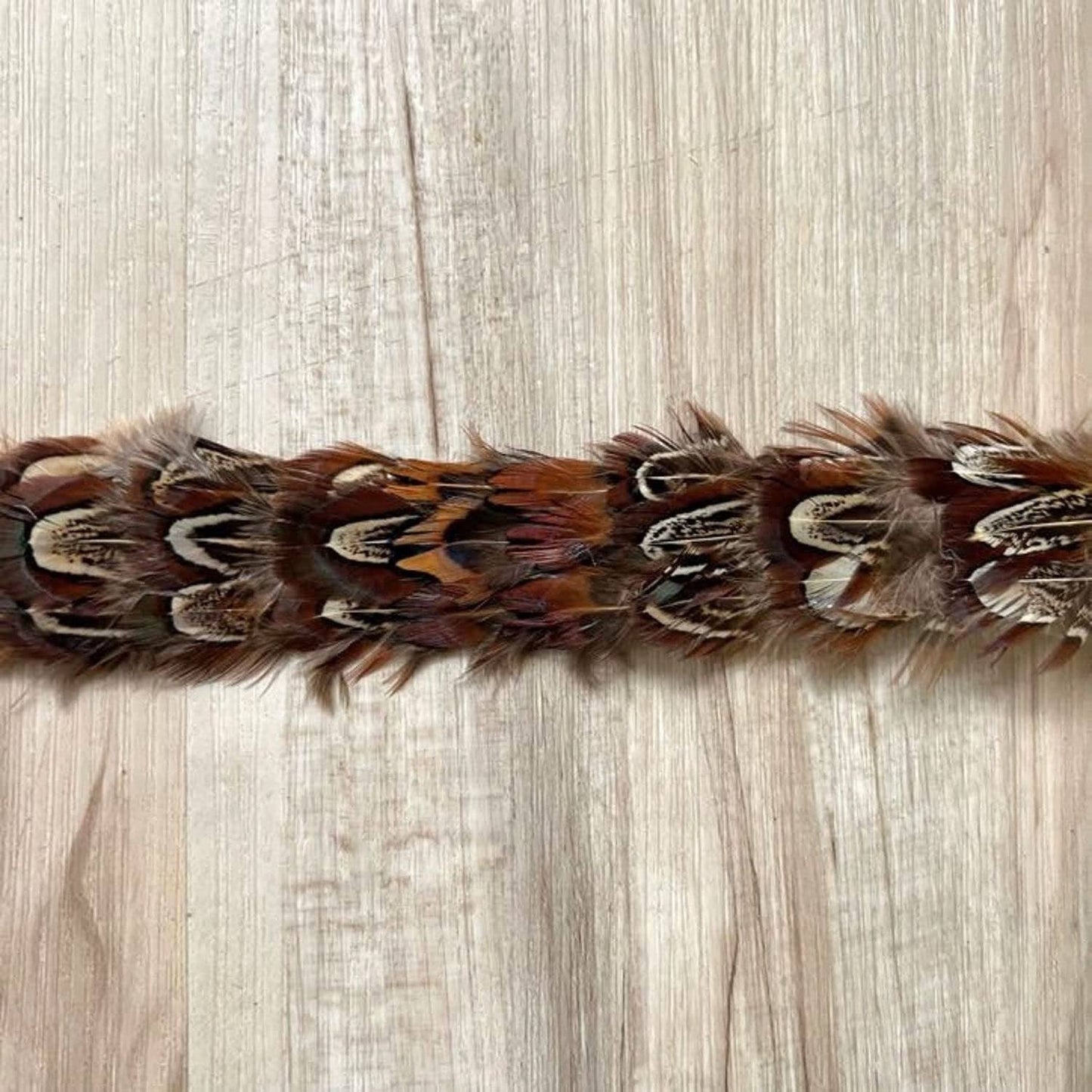 Feather Hat Band - Starling