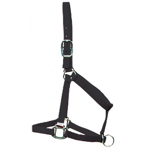 Western Rawhide COUNTRY Old Timer 6 Ring Halter 292970