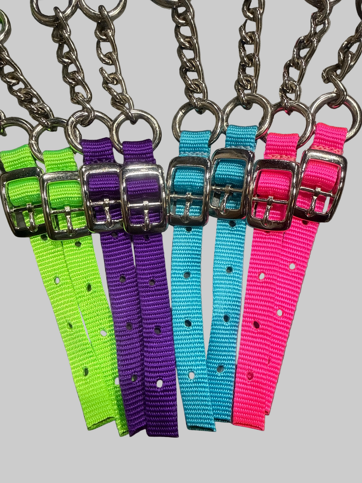SIERRA NYLON CURB STRAP
