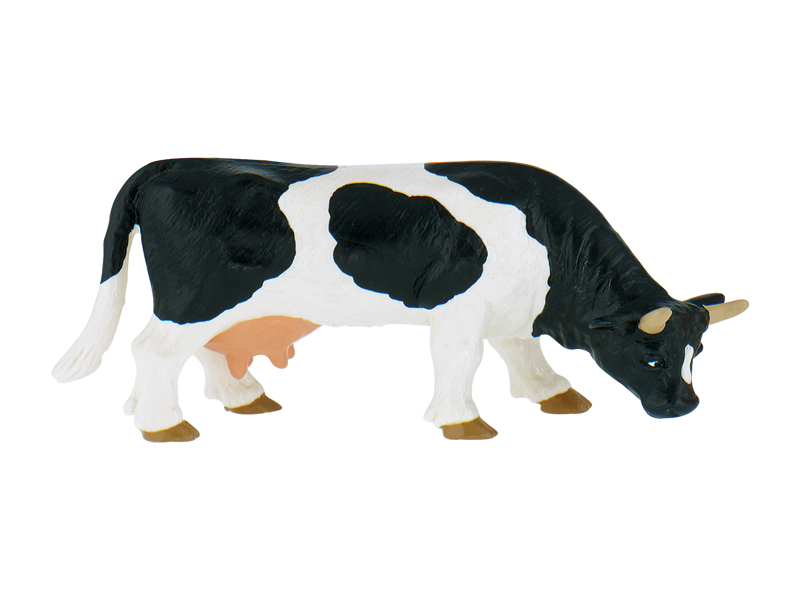 Cow Liesel black/white