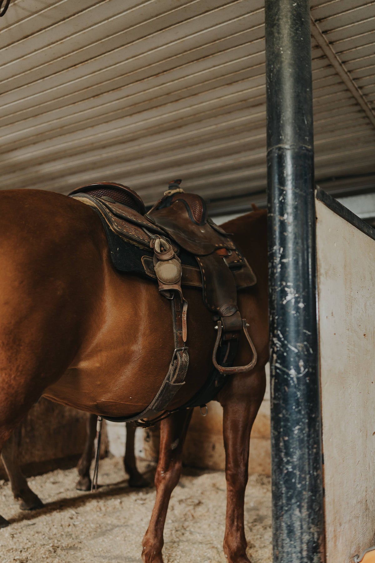 Cowgirl Perfume | Dusty Trails™ | Leather Amber