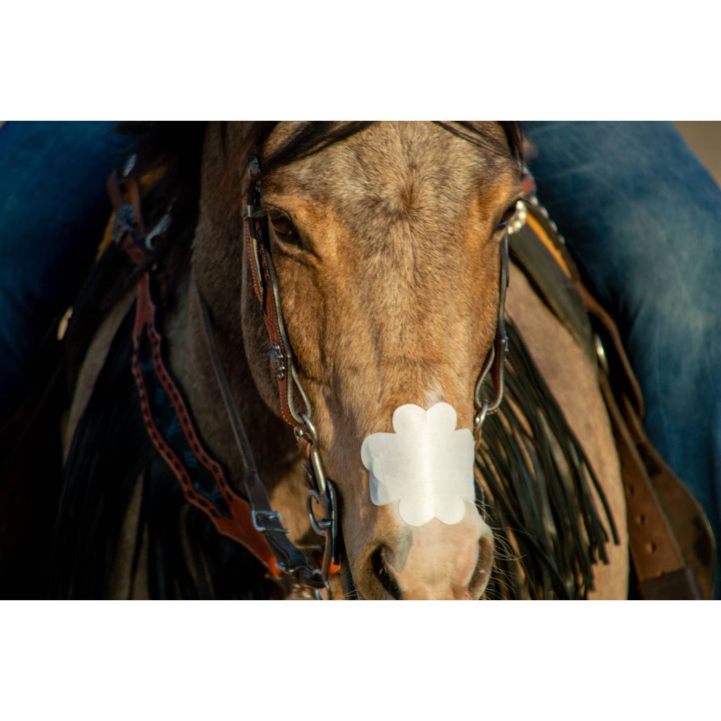 EquiBreathe™ Equine Nasal Patch - White