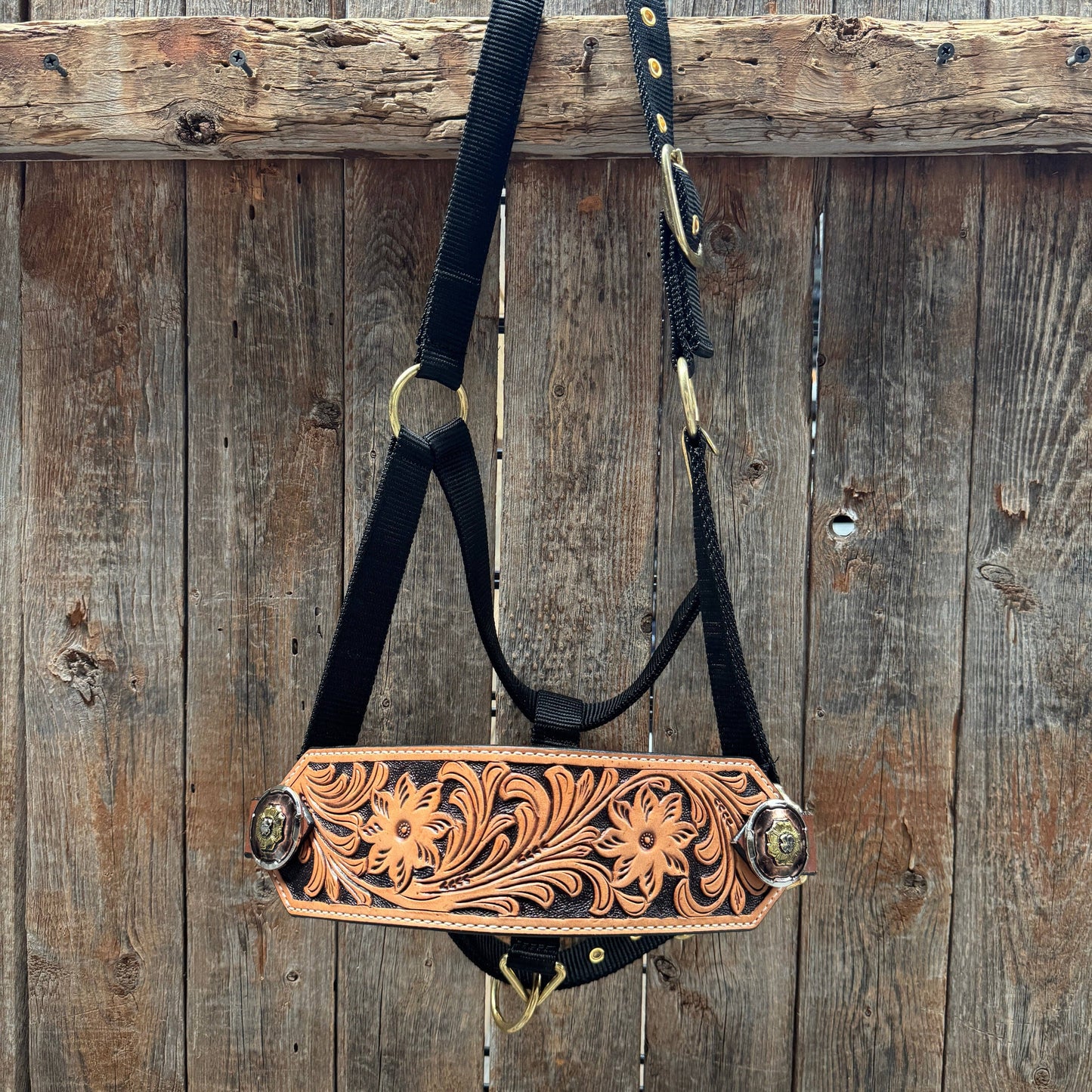 Black Nylon Horse Halter – Bronc Noseband with Western Conchos NH104