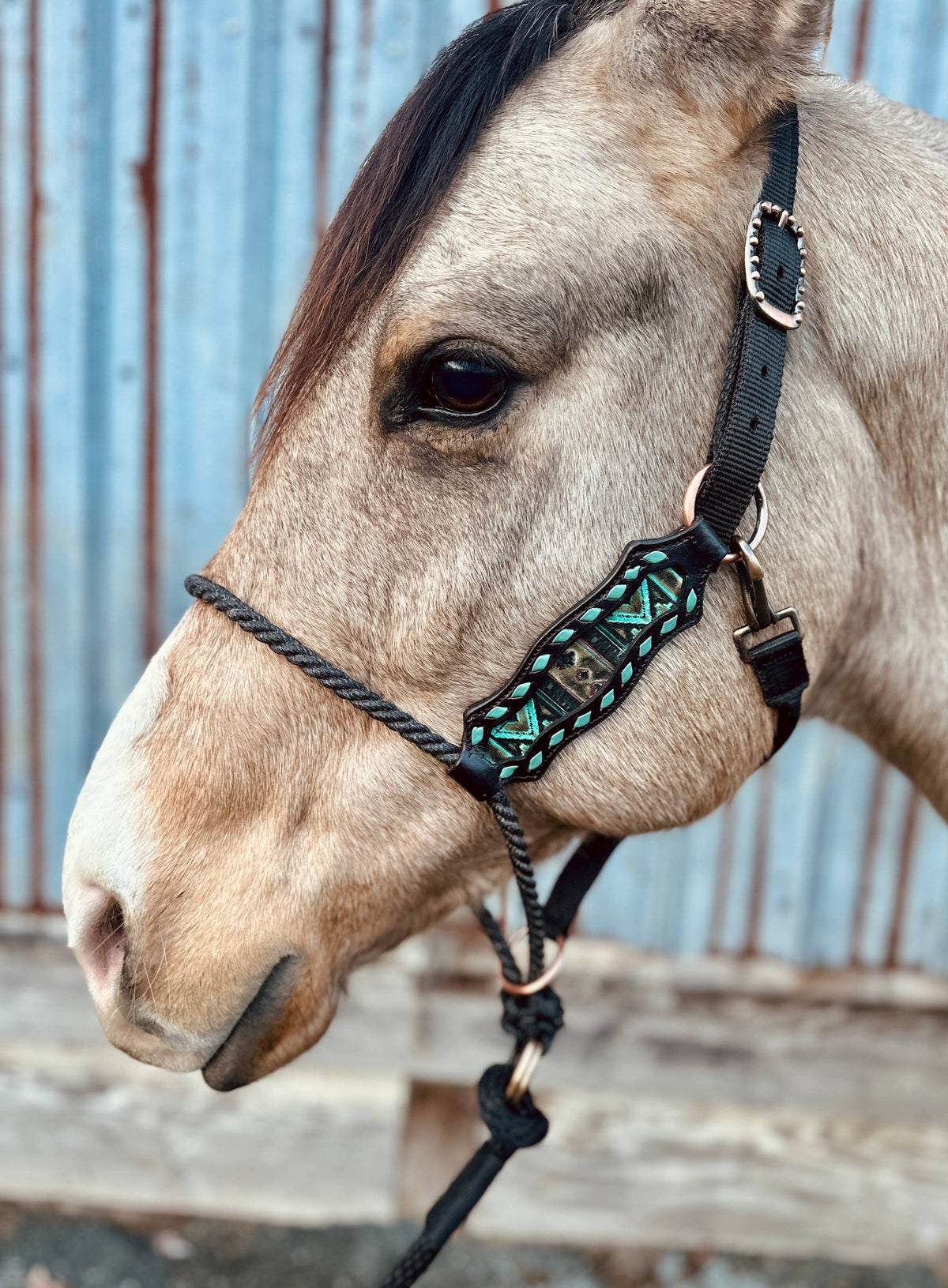 Lariat Nose Halter