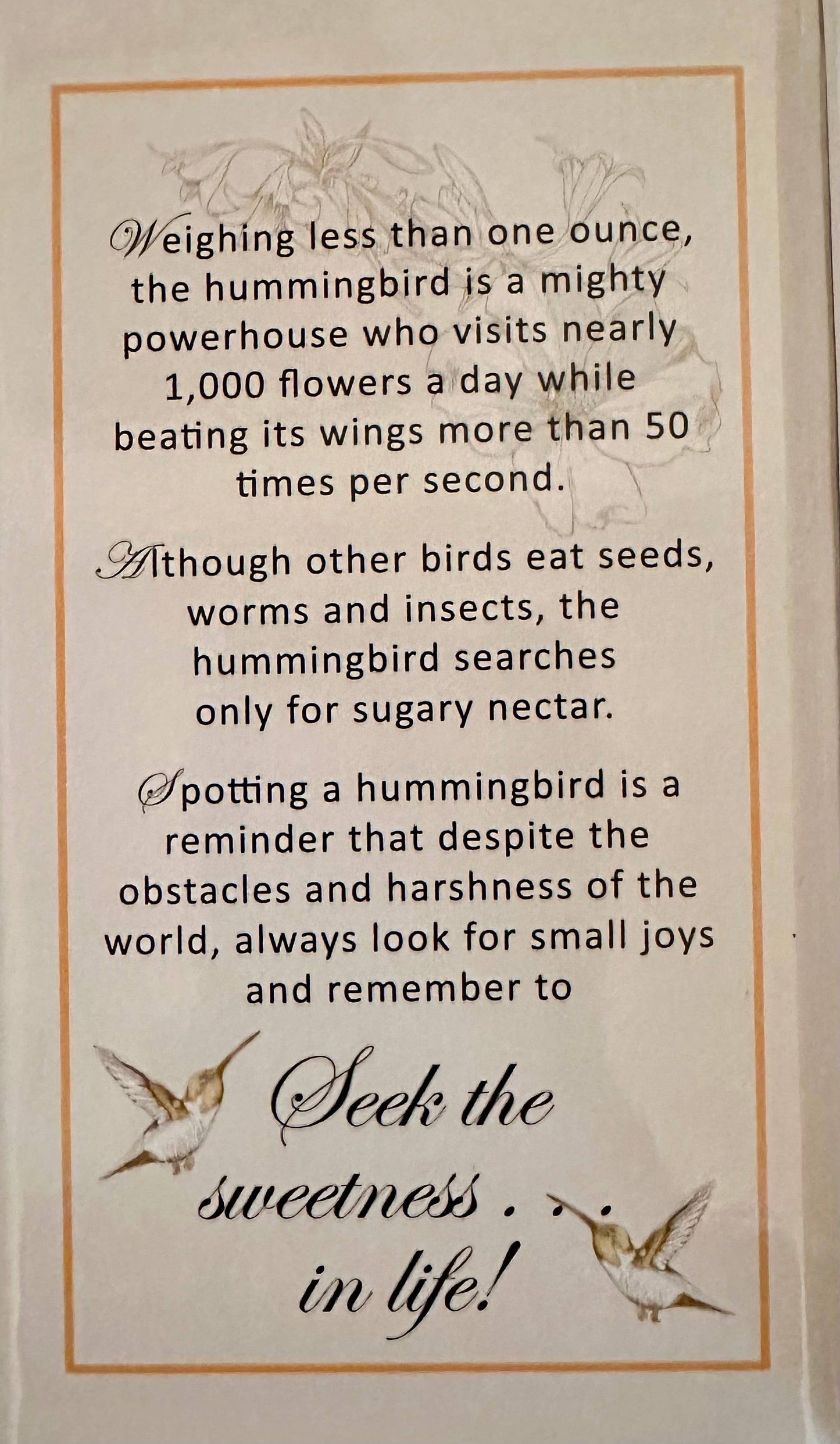 Hummingbird Sparkle Necklace