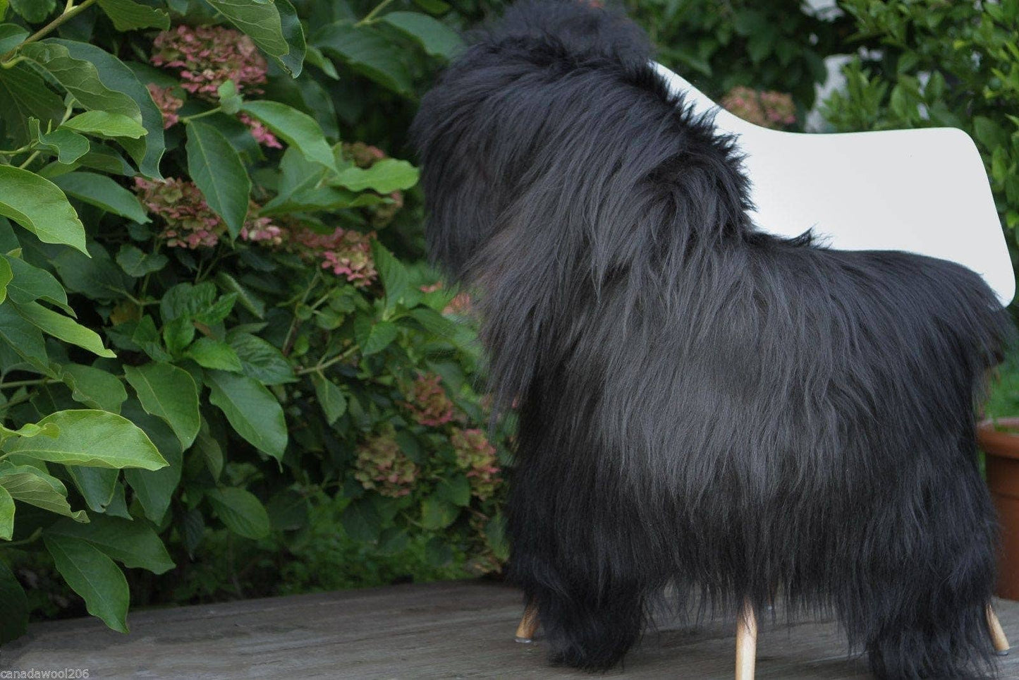 Genuine Icelandic Black Sheepskin Rug with Long Soft Wool