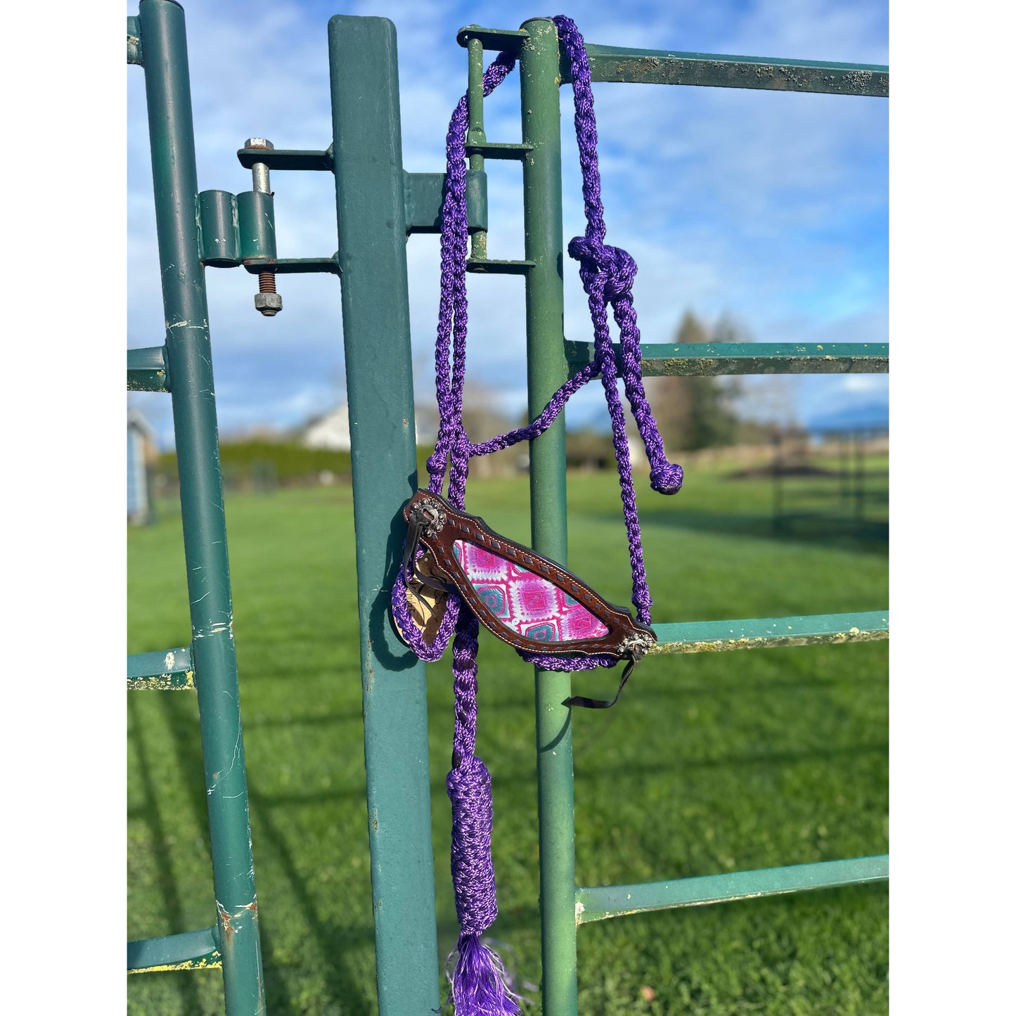 Braided Bronc Halter