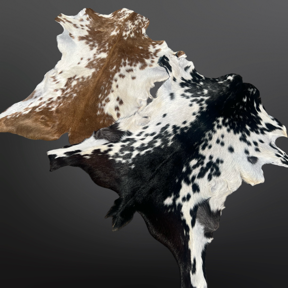 Assorted Goat Hides - Small Area Rug 5ft