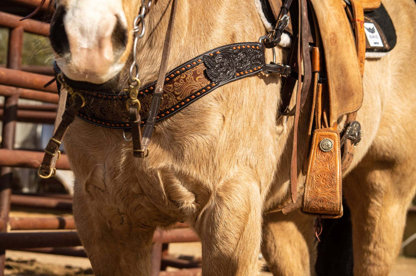 John Wayne Tripping Collar