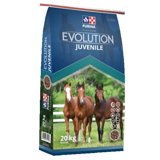 Purina Evolution Juvenile