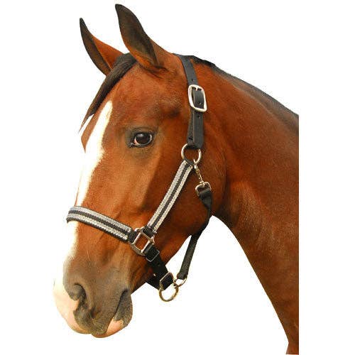 Intrepid International - 1" Silverado Breakaway Halter