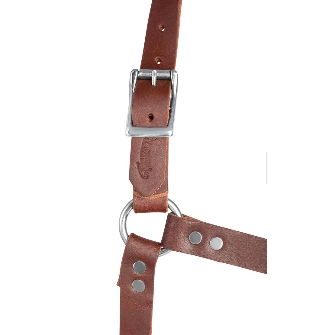 Weaver 5/8” Riveted Weanling Halter Oiled Harness Leather