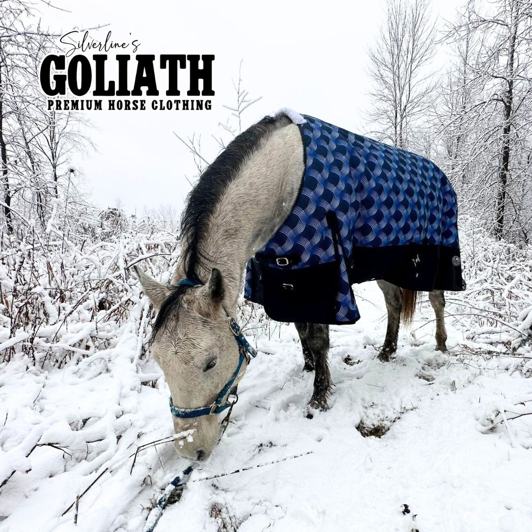 Goliath Blanket Turnout 1200D, 4804BL