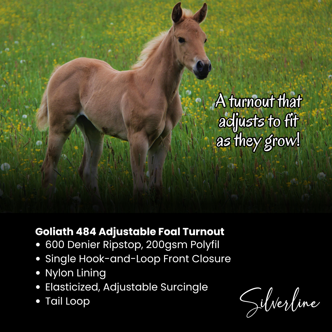 Goliath 600D, 200gsm Adjustable Foal Turnout, BL/BK/WH Print