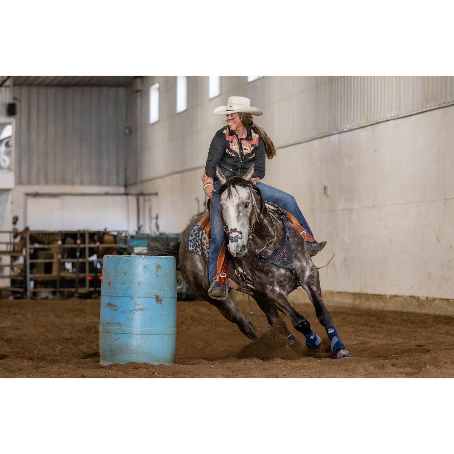 EquiBreathe™ - EquiBreathe™ Equine Nasal Patch - Vegas