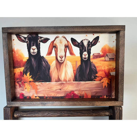 Fall Goats