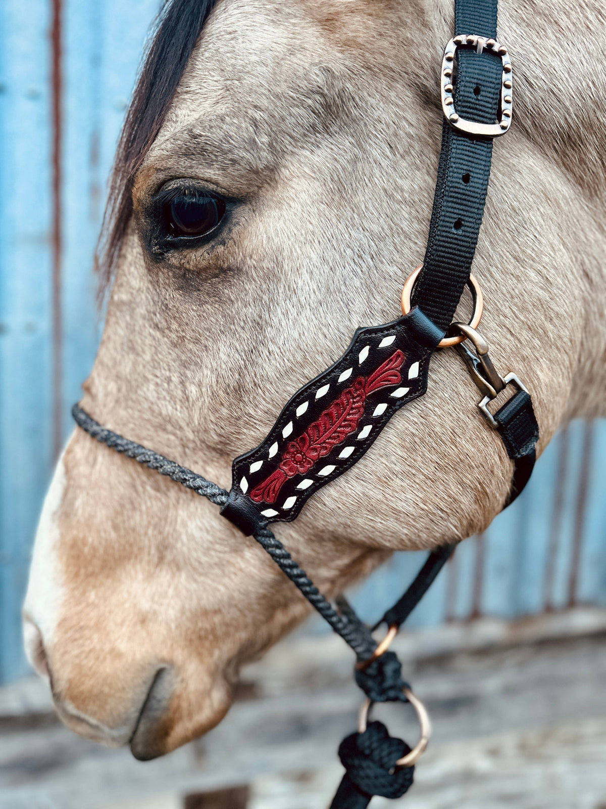 Lariat Nose Halter