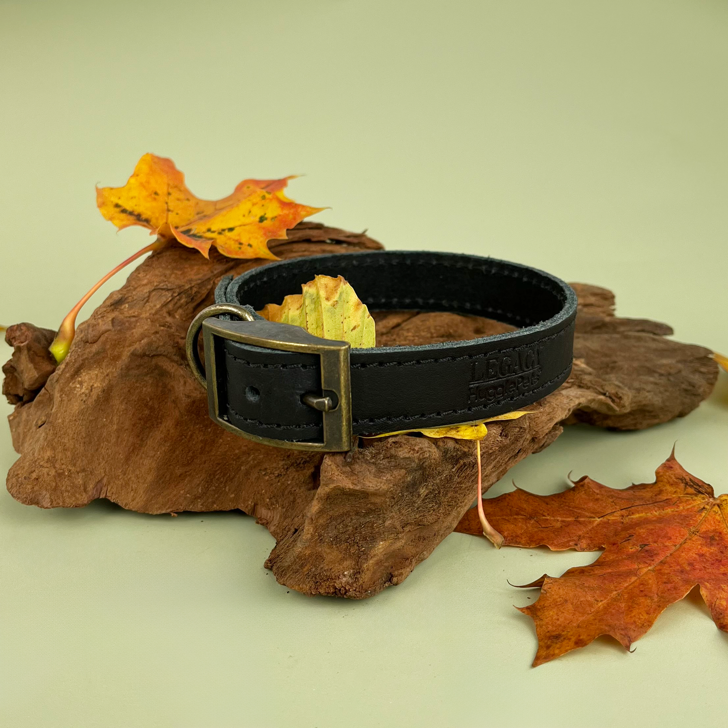 HugglePets Legacy Leather Dog Collar