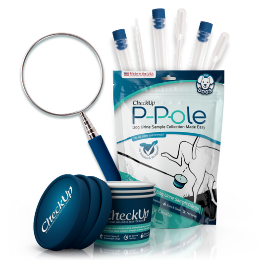 Check Up Dog P-Pole  Item #: 508-00322