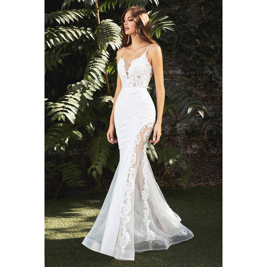 MERMAID ILLUSION BRIDAL GOWN
