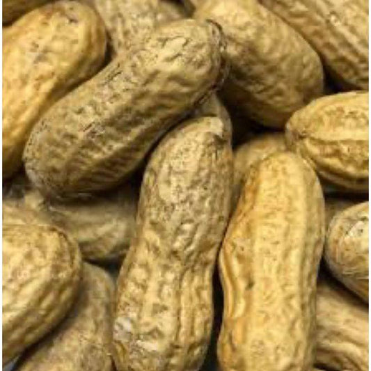 Bird's Choice Peanuts in Shell 20Kg