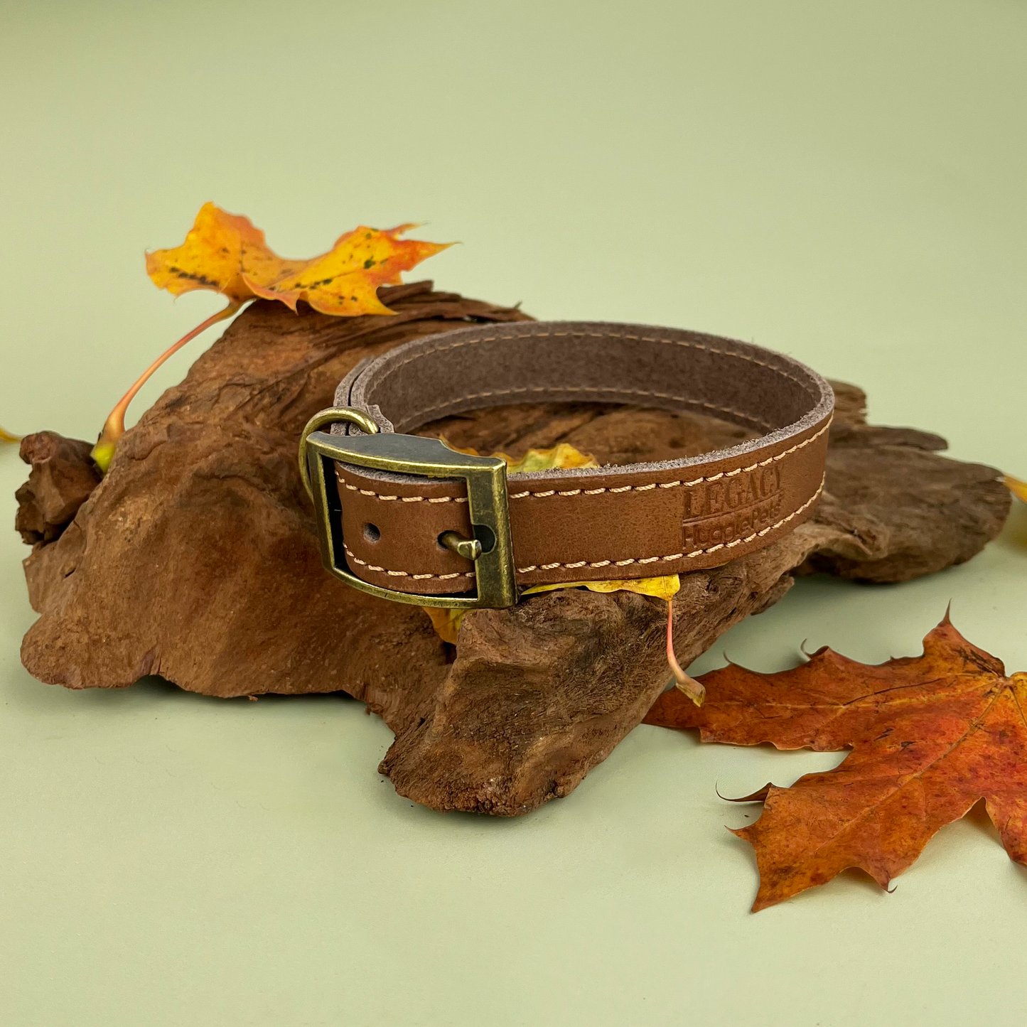 HugglePets Legacy Leather Dog Collar