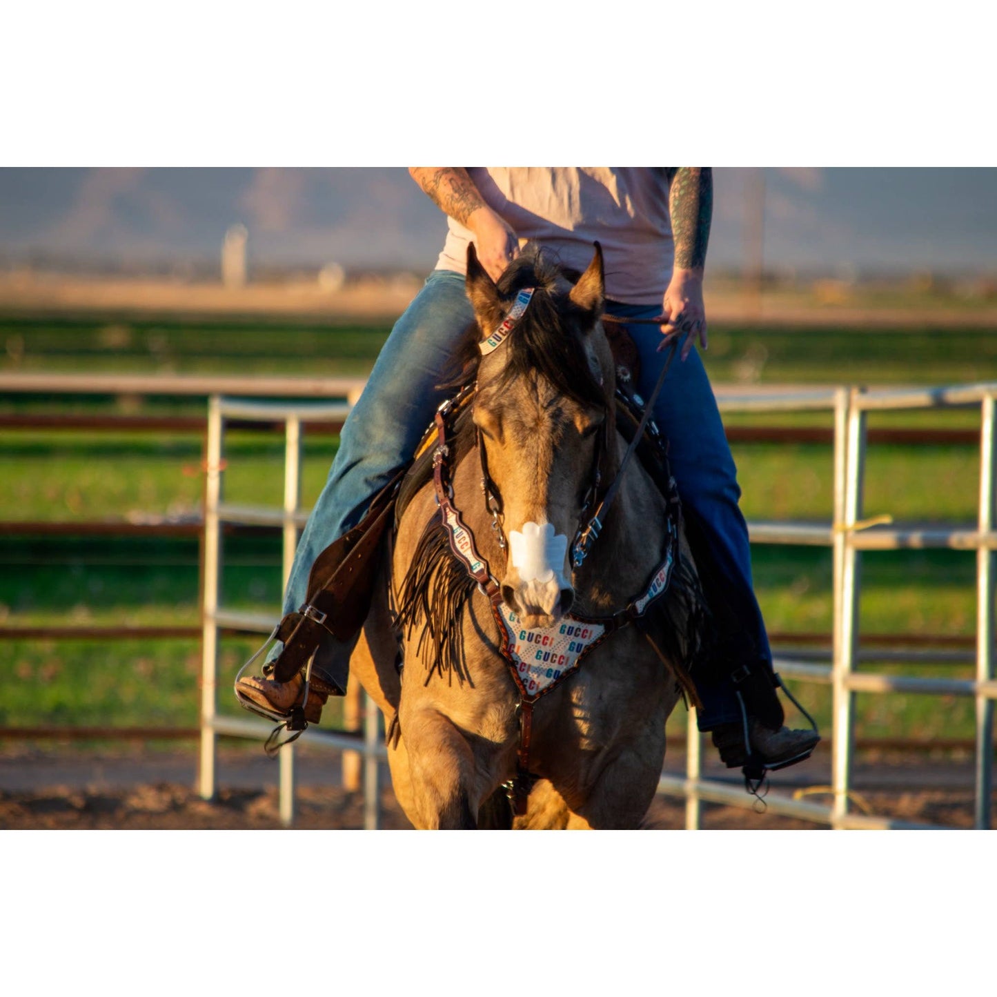 EquiBreathe™ Equine Nasal Patch - White