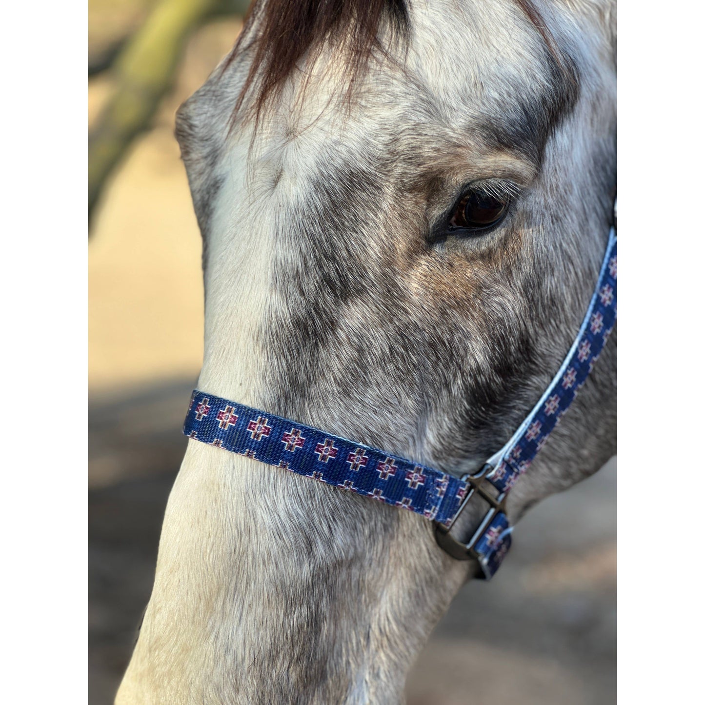Nylon Halter - Horse Size