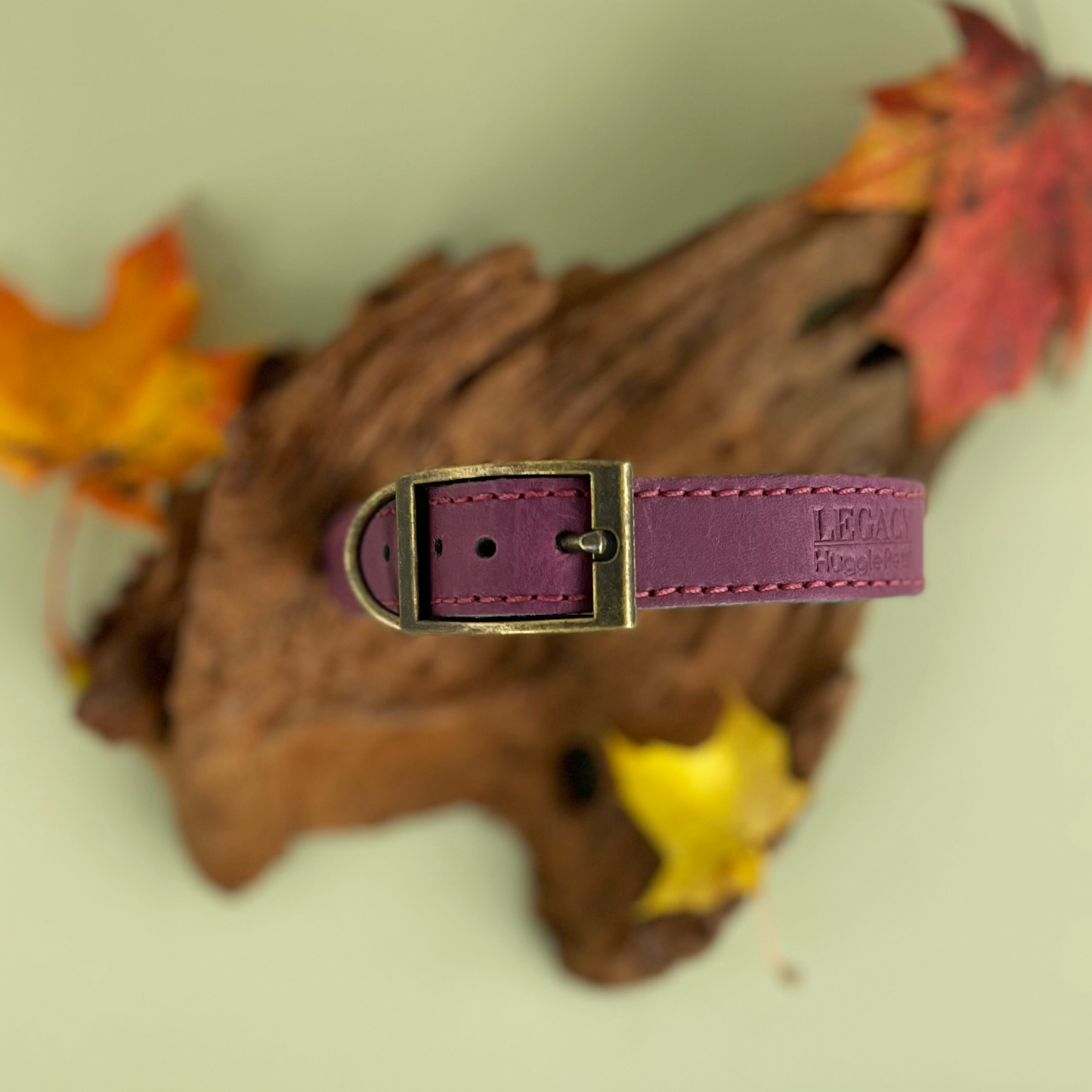HugglePets Legacy Leather Dog Collar
