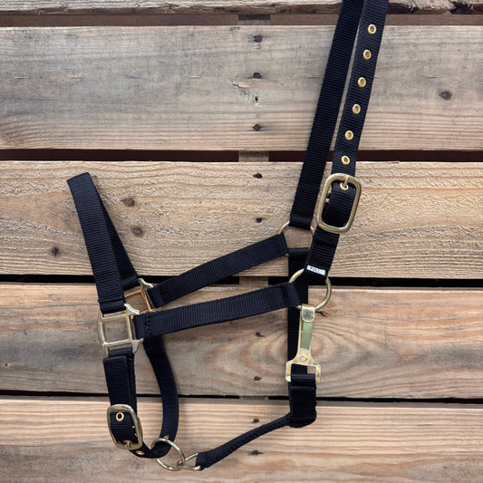 Nylon Horse Halter - Assorted Colors
