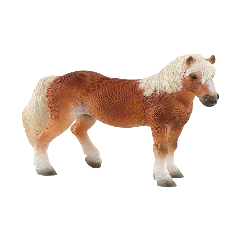 Haflinger Mare