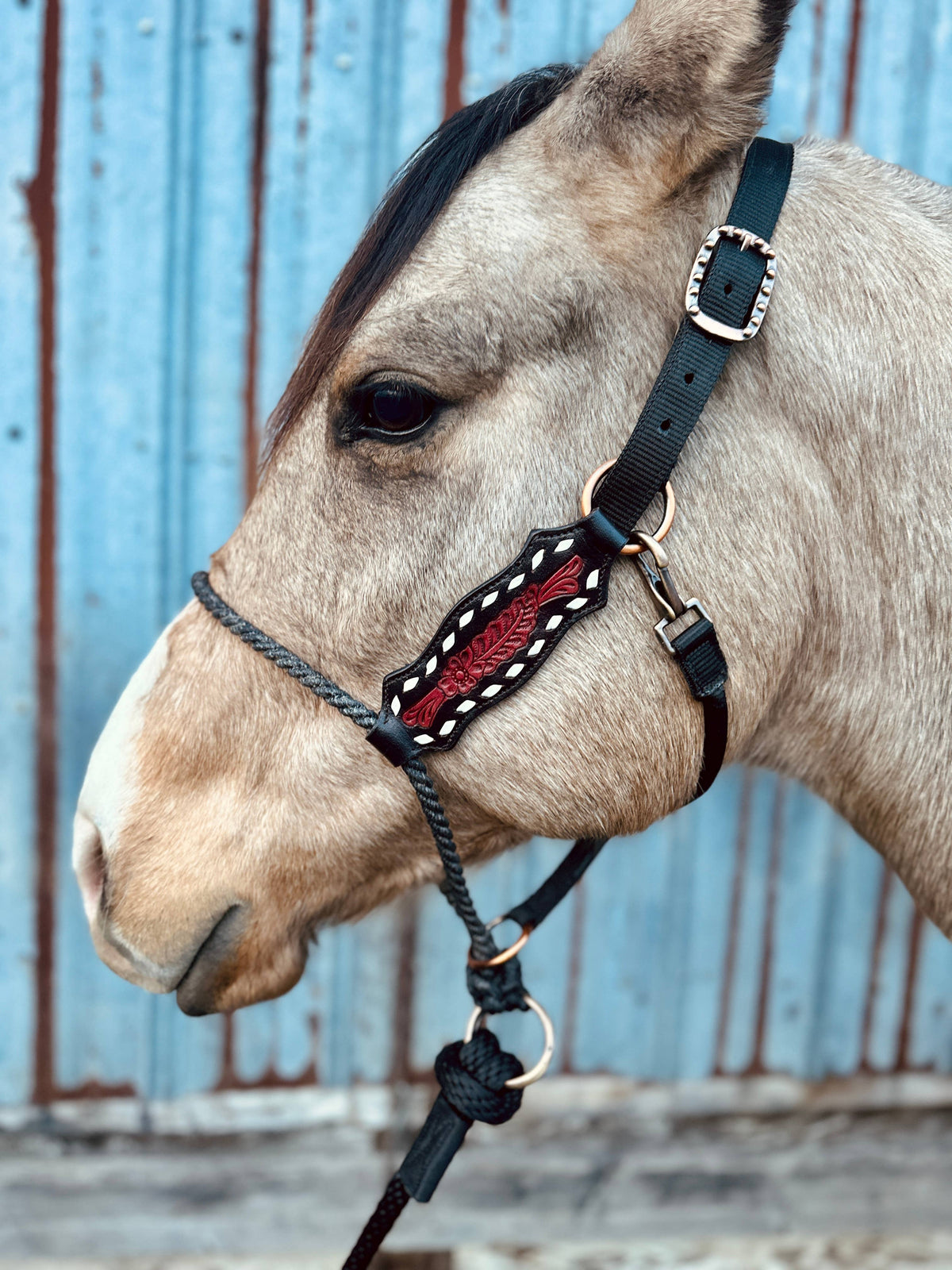 Lariat Nose Halter