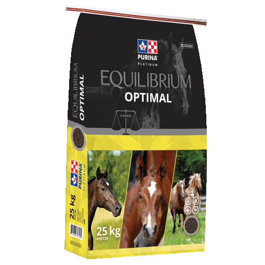 Purina Equilibrium Optimal