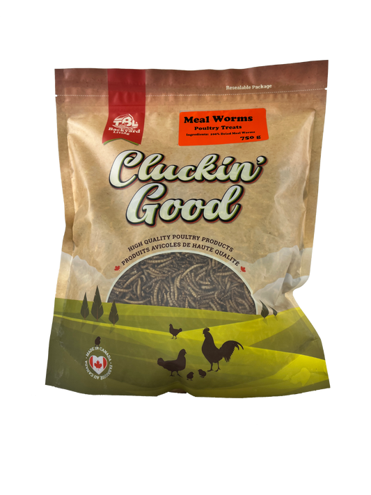 Cluckin Good Mealworms 750G