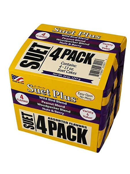 Bird Suet-St. Albans Bay 4 Pack Variety