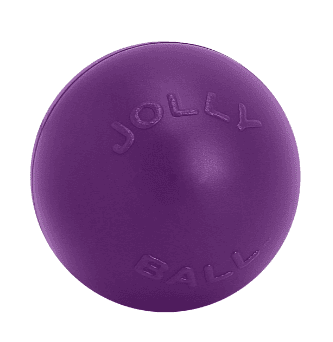 Jolly Pet's Push-N-Play Ball