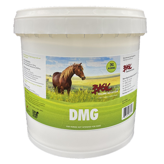 Basic Equine Nutrition DMG 1KG