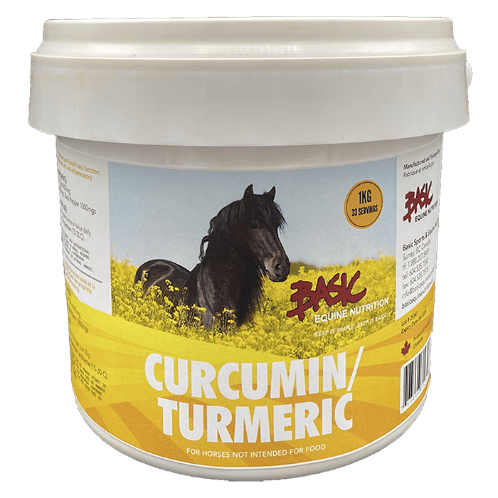 Basic Equine Nutrition Turmeric/Curcumin Extract