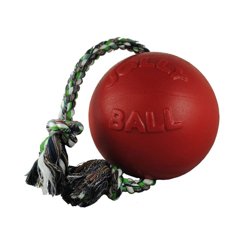 Jolly Ball Romp n Roll 8” w/Rope