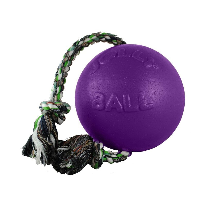 Jolly Ball Romp n Roll 8” w/Rope