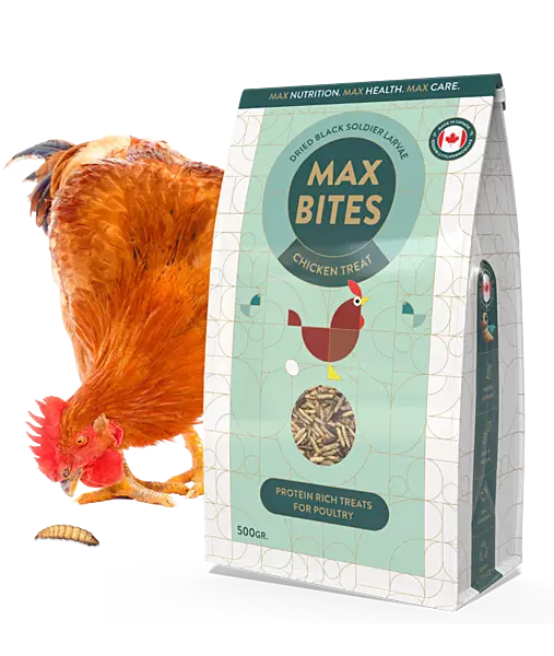 Max Bites