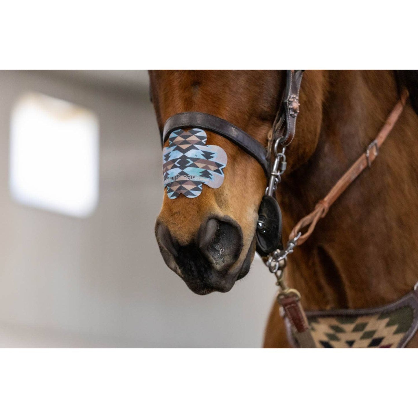 EquiBreathe™ Equine Nasal Patch - Aztec