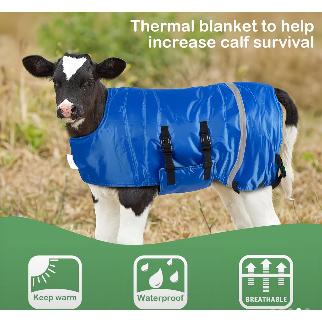 Calf Thermal Blanket