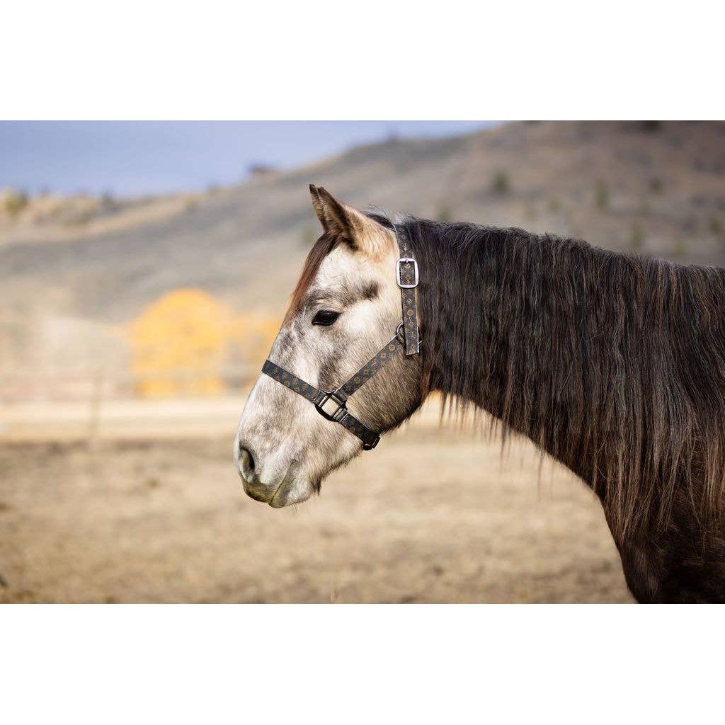 Nylon Halter - Horse Size