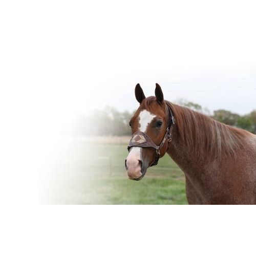 Professional Choice Arrowhead Halter